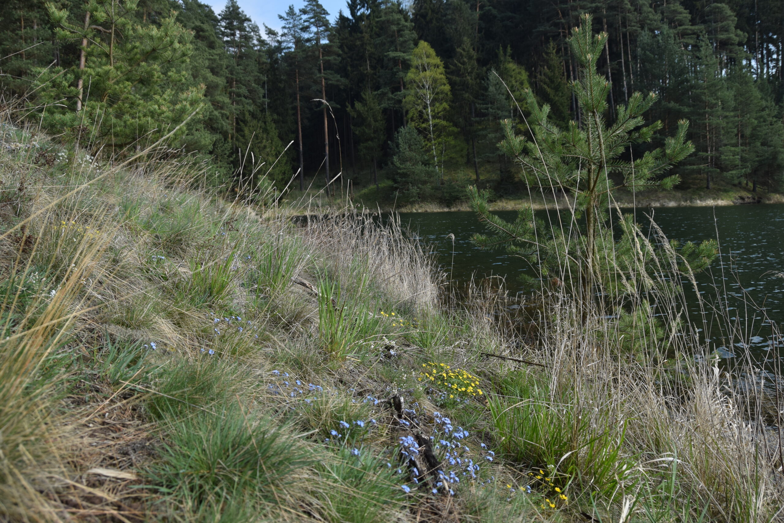 DSC_0045oř Národní přírodní památka Hadce u Želivky